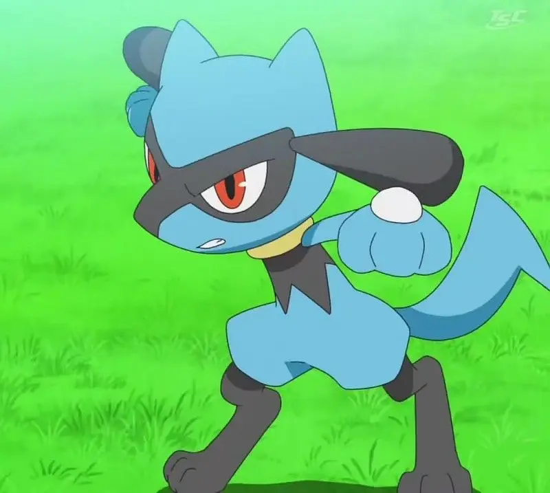 Lucario - Pokemon - What is the color of Lucario's face?